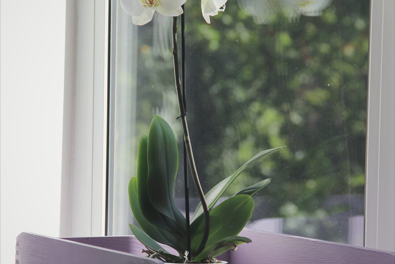 Арендовать PRO СВЕТ Творческий зал в историческом центре