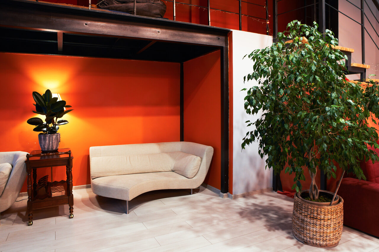 Арендовать ЛисоБорье Большой танцевальный зал