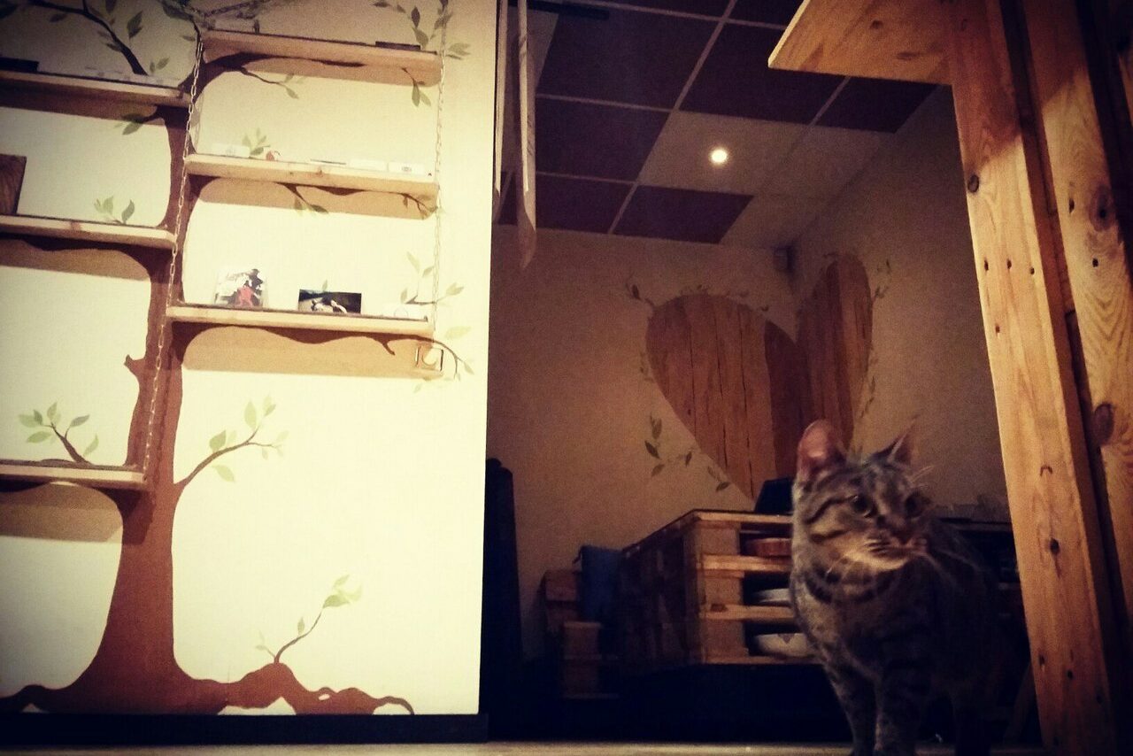 Арендовать Деревянный лофт в центре 