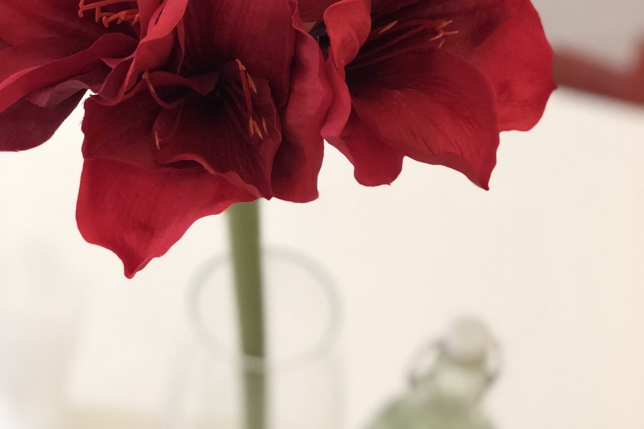 Арендовать Moscow English Club