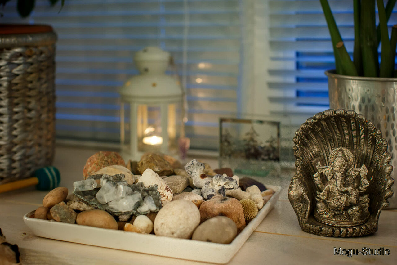 Арендовать Mogu-Studio