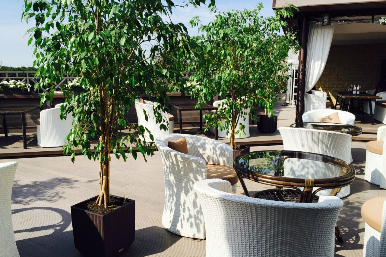 Арендовать Ресторан Бали