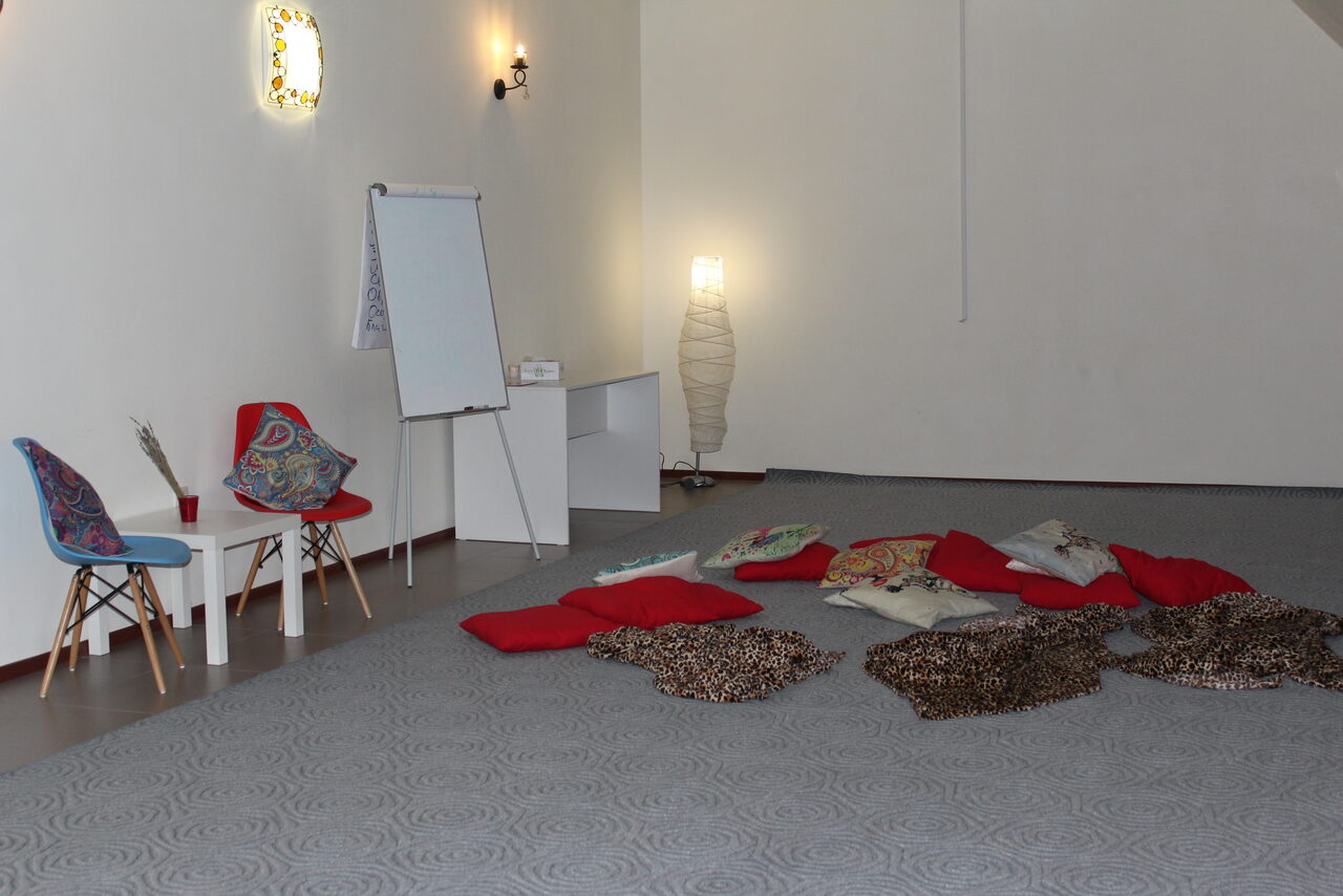 Арендовать Академия частной жизни Ларисы Ренар