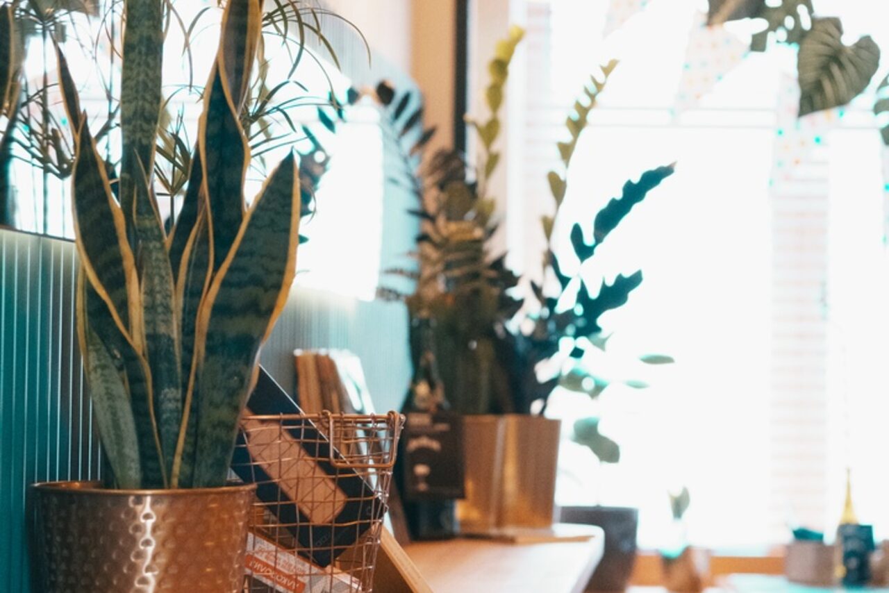 Арендовать Площадка в Санкт-Петербурге