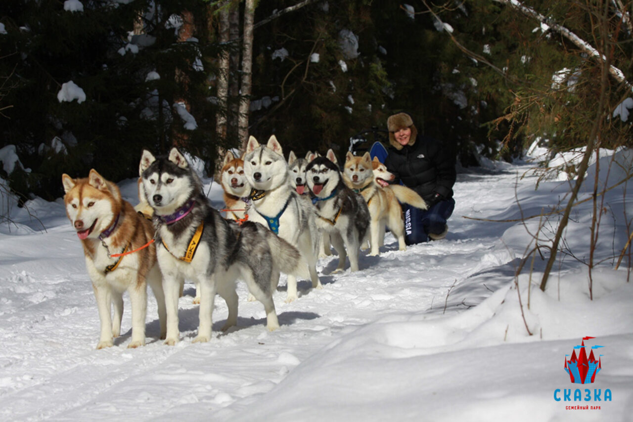 Арендовать Семейный парк "Сказка"