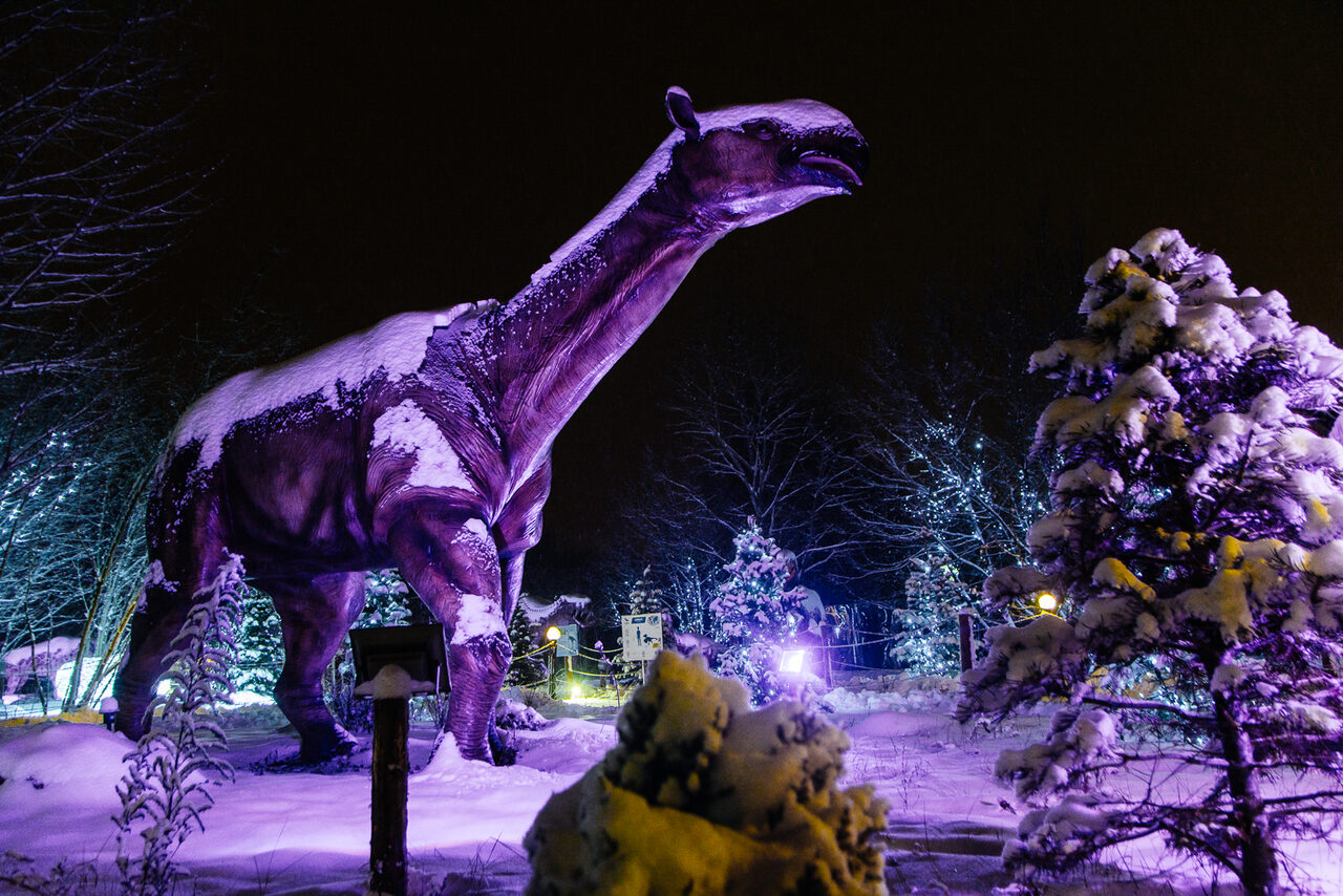 Арендовать Семейный парк "Сказка"