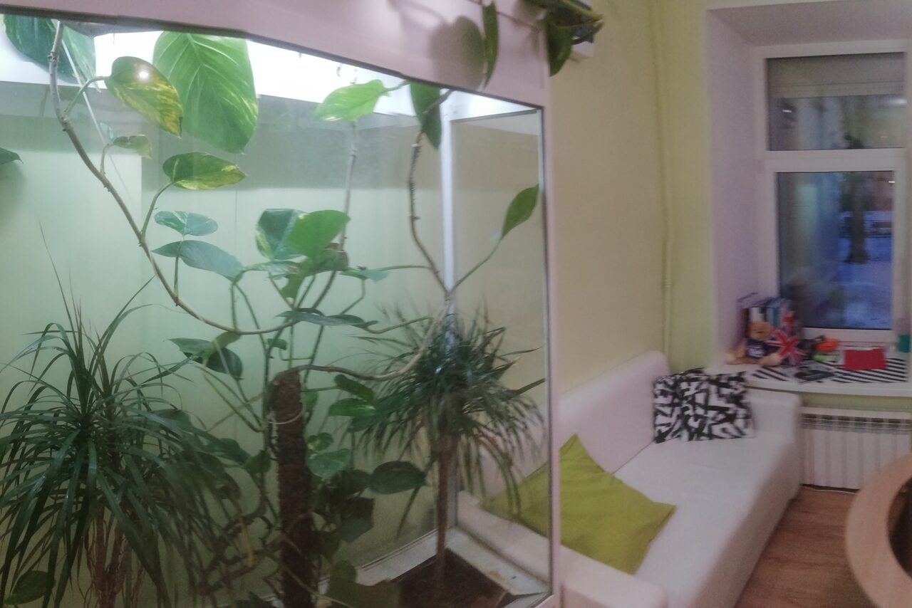 Арендовать  Зал для лекций на Чкаловской