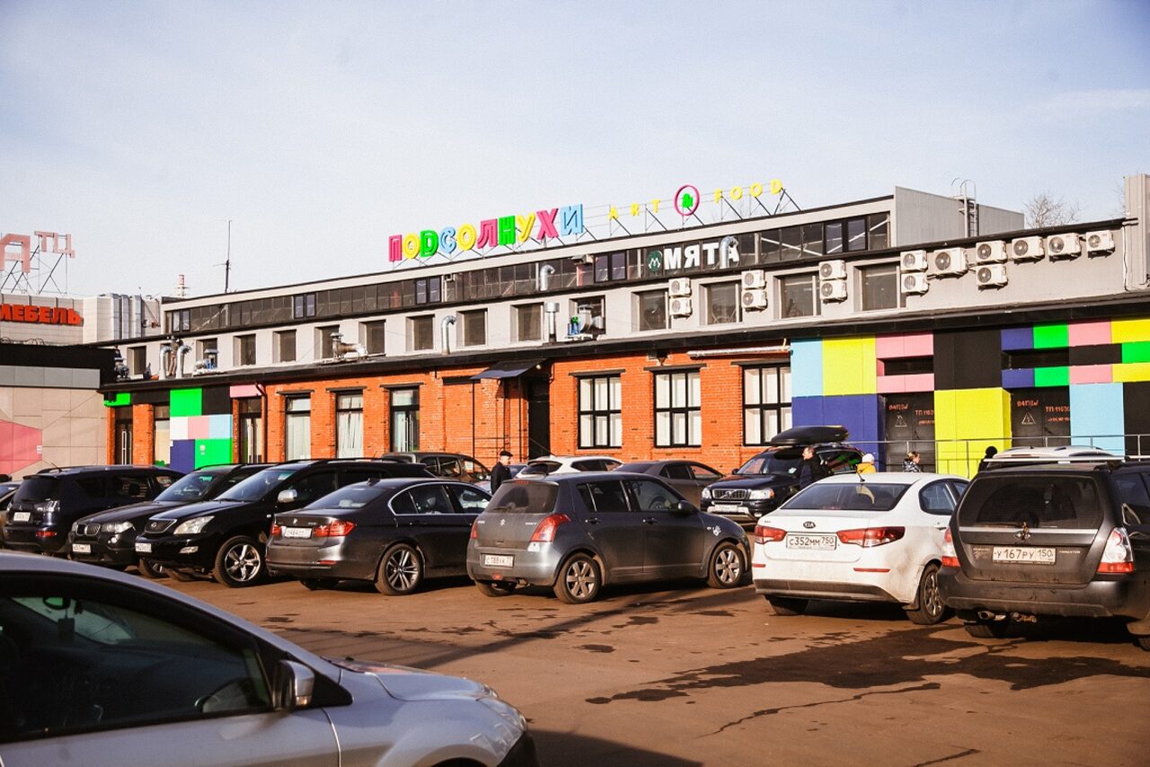 Арендовать ПОДСОЛНУХИ ART & FOOD