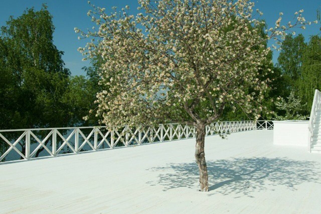 Арендовать Ресторан КОНАК