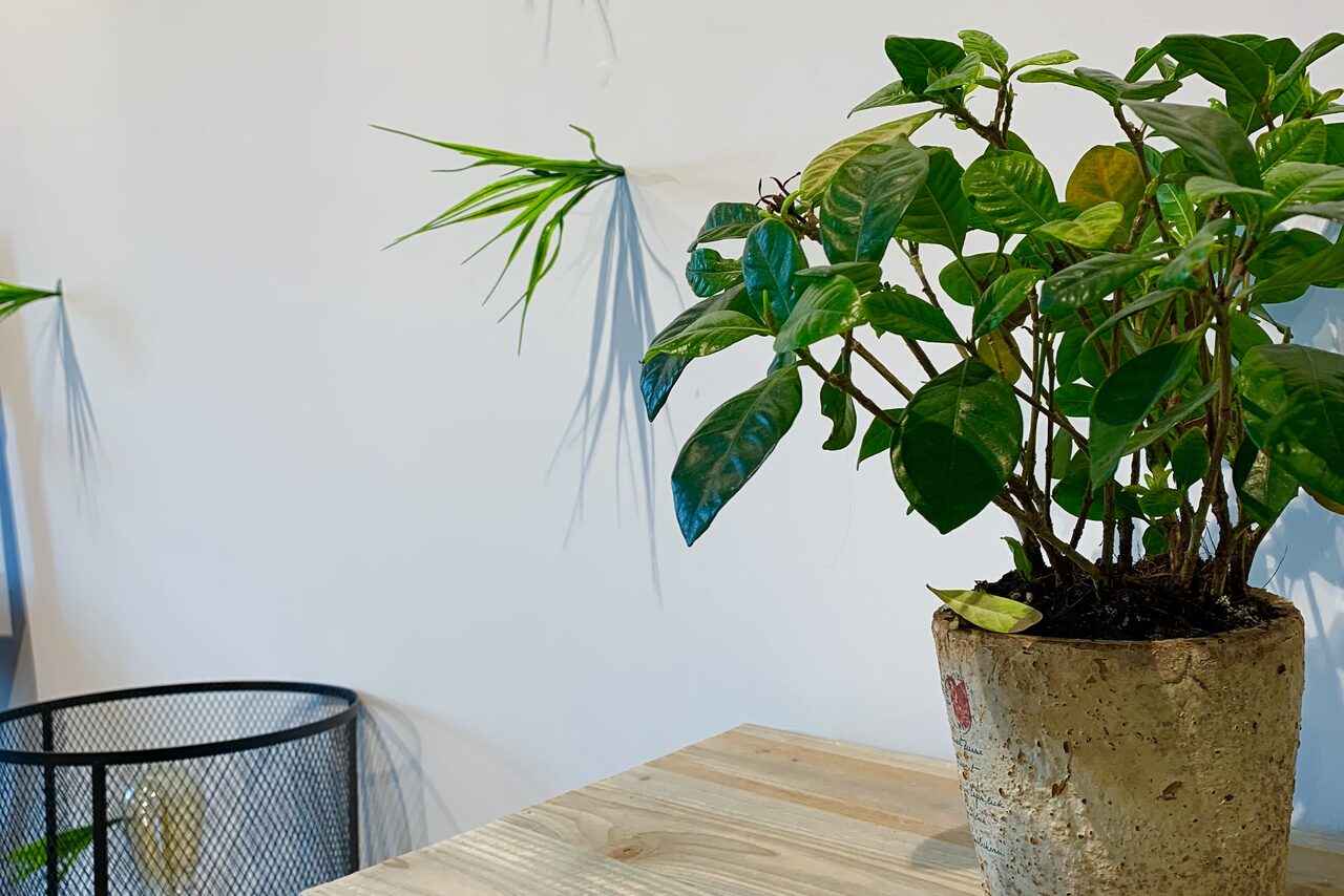 Арендовать Уютный зал для образовательных мероприятий