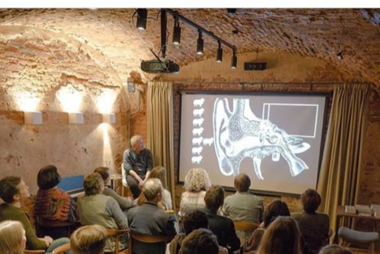 Арендовать Площадка в Санкт-Петербурге