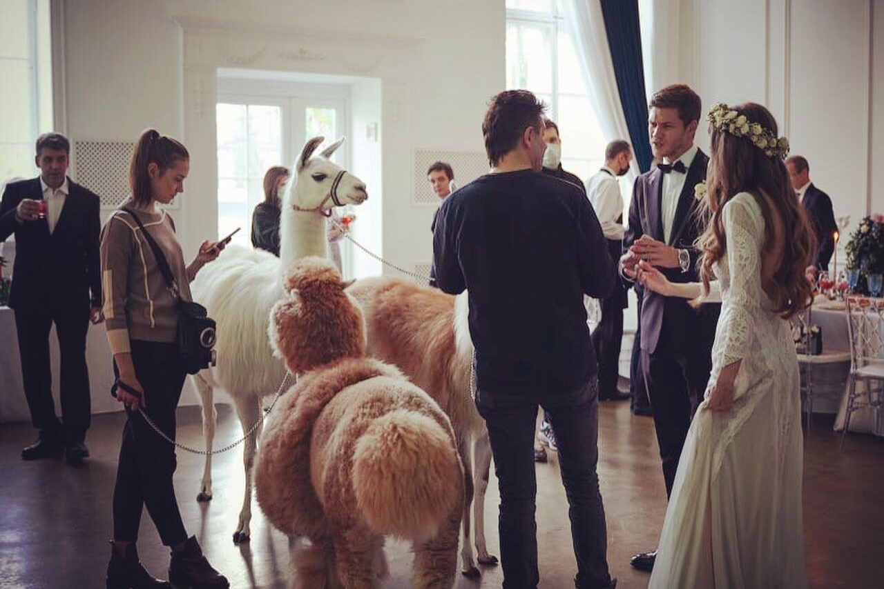 Арендовать Лофт Космос. Белый лофт в особняке