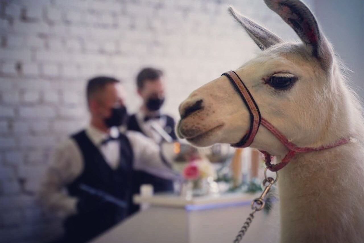 Арендовать Лофт Космос. Белый лофт в особняке