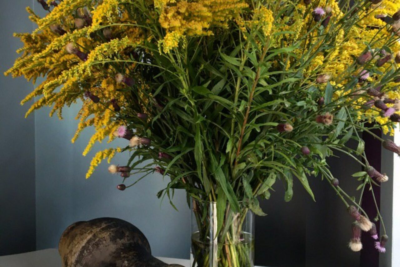 Арендовать Студия "Воздух"