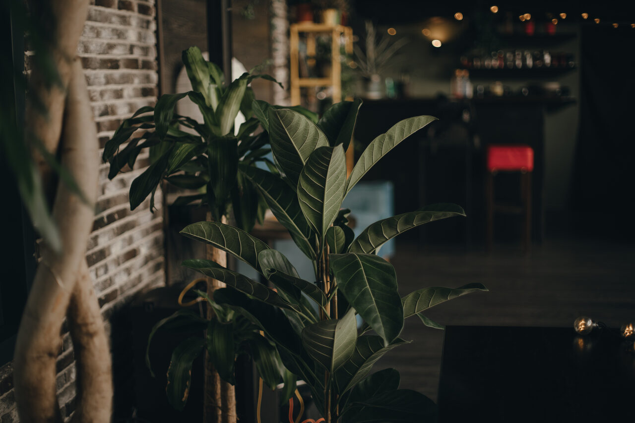 Арендовать Над Москвой Светлый лофт с высокими потолками