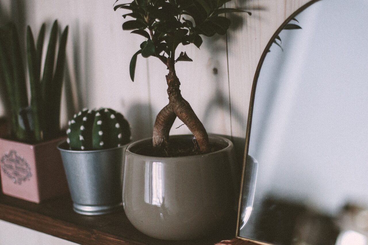 Арендовать Пространство "Наша Зеленая"