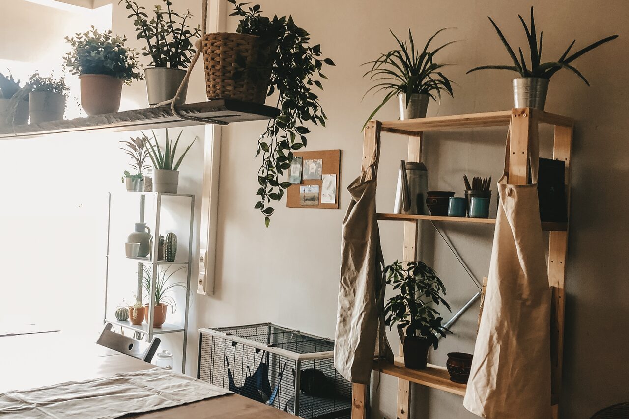 Арендовать Пространство "Наша Зеленая"