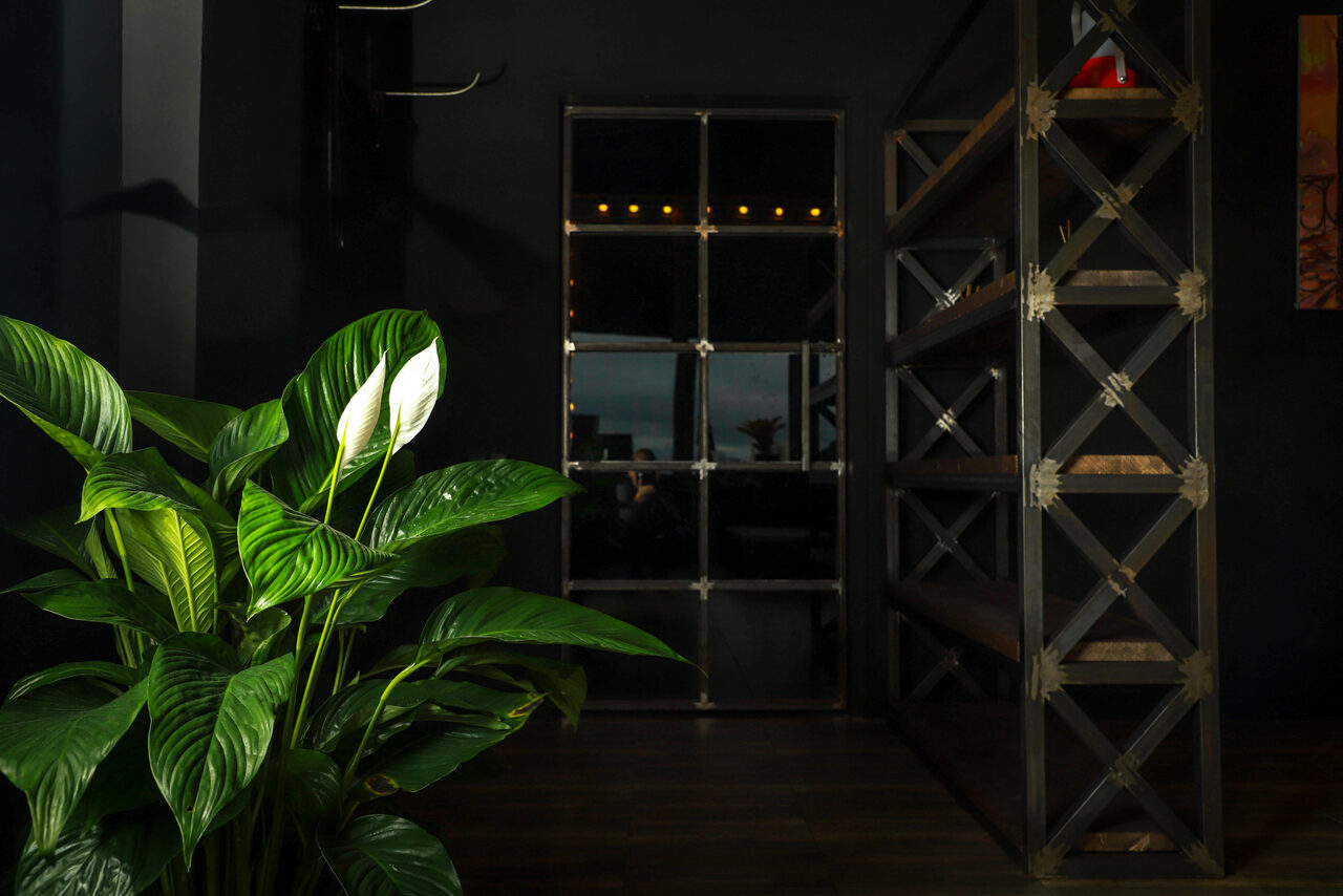 Арендовать Igloobar Площадка в Москве