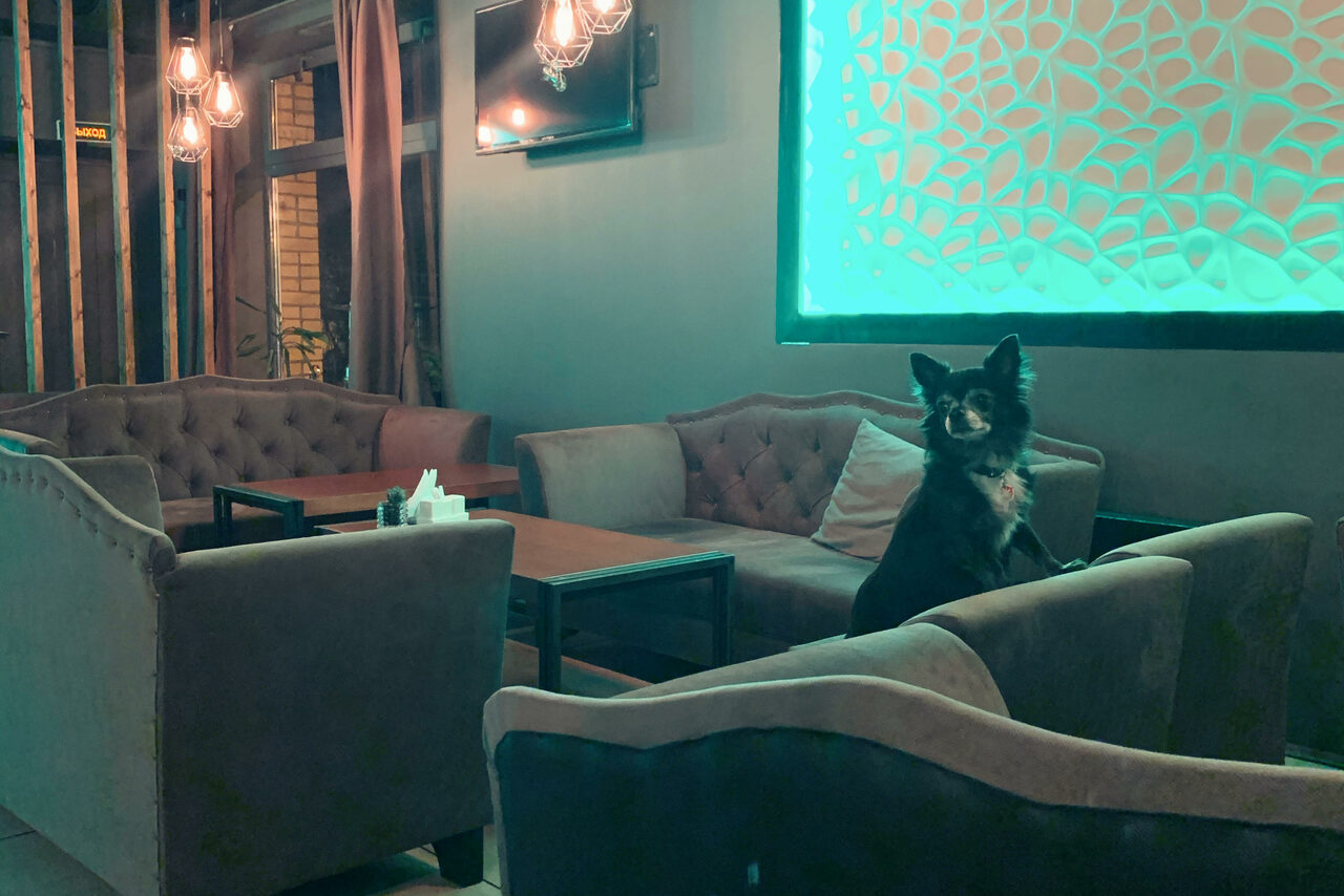 Арендовать Дымовая Пушка