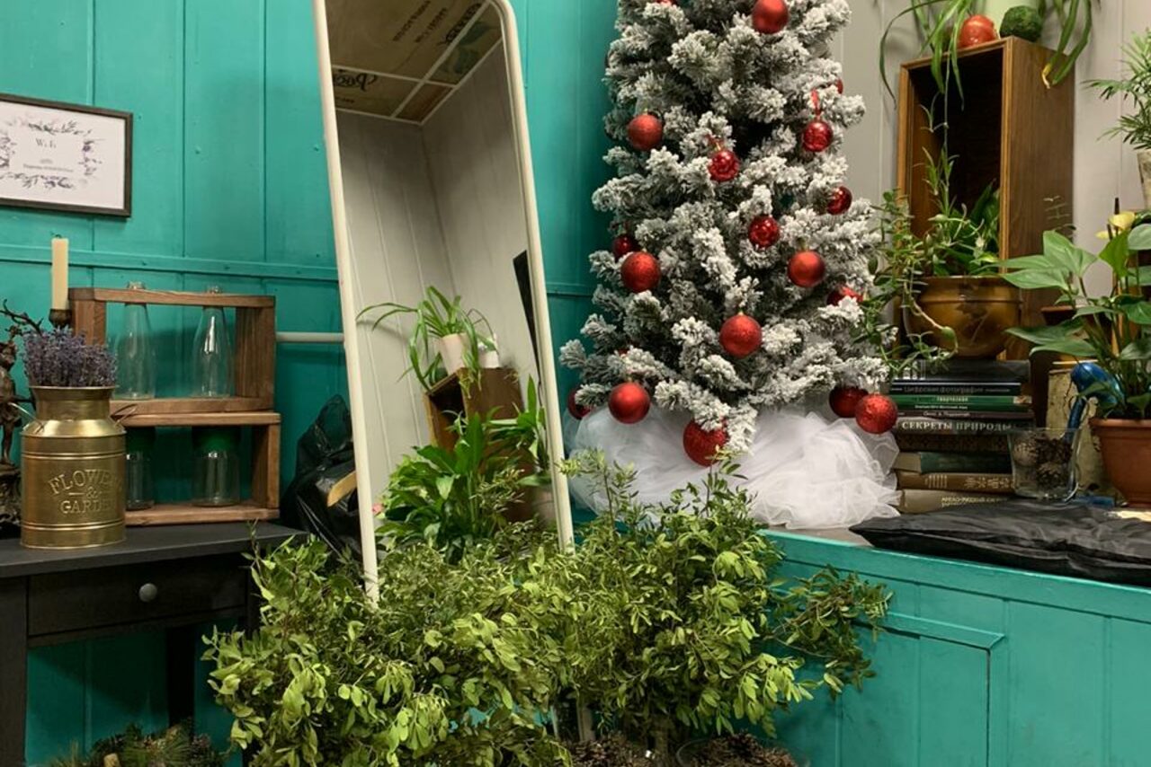 Арендовать Арт-кафе в историческом центре