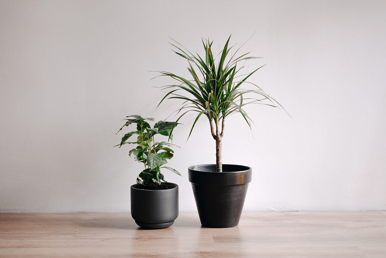 Арендовать Креативное пространство с зеркальной стеной