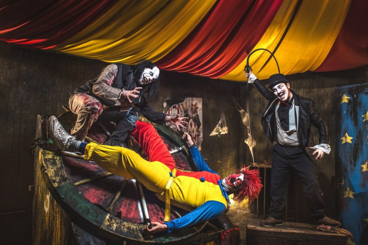 Арендовать Не тот цирк. Лофт с экзотическим интерьером