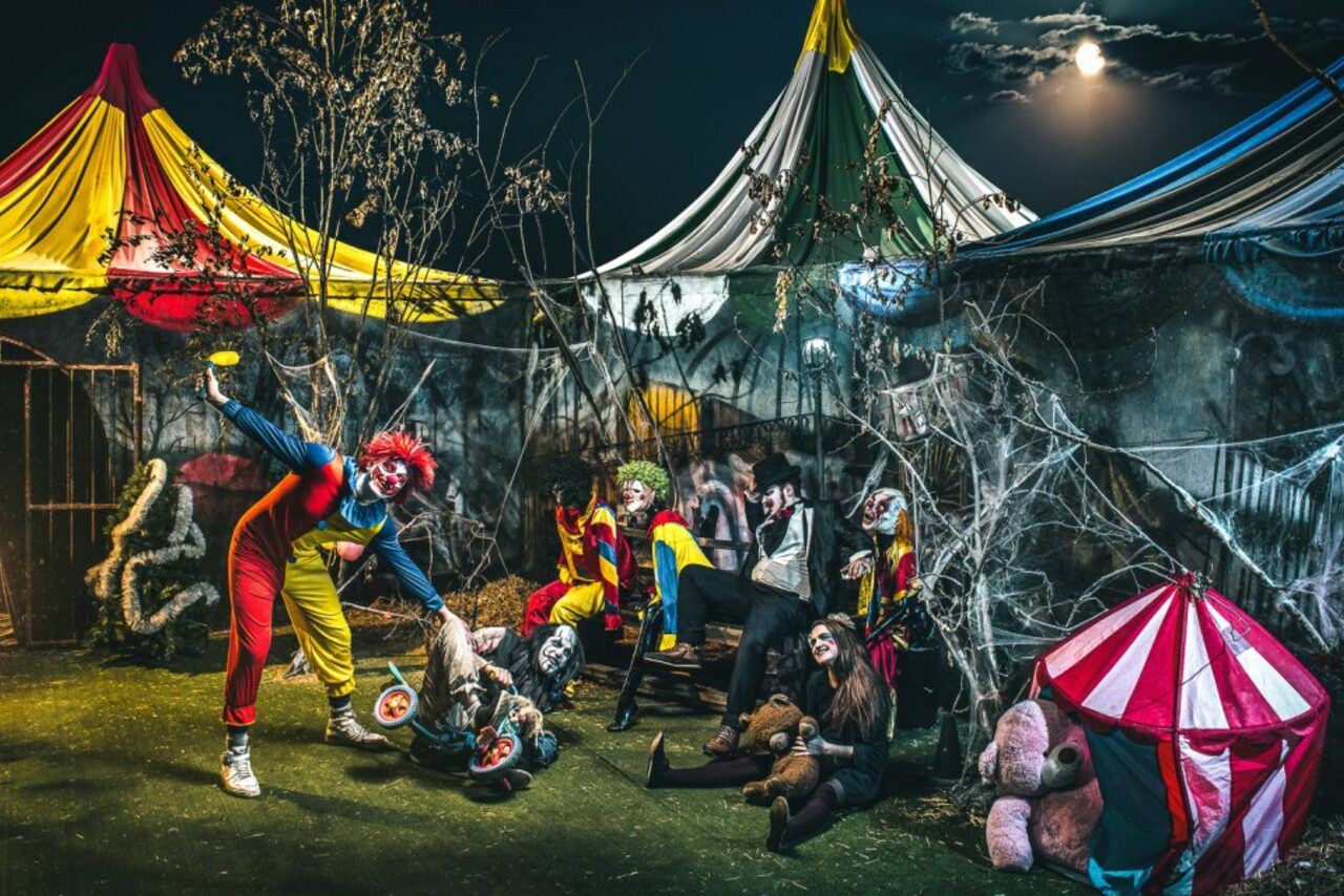 Арендовать Не тот цирк. Лофт с экзотическим интерьером