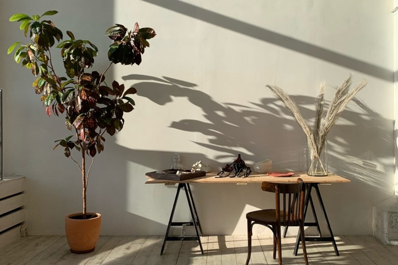 Арендовать Светлое пространство с большим окном