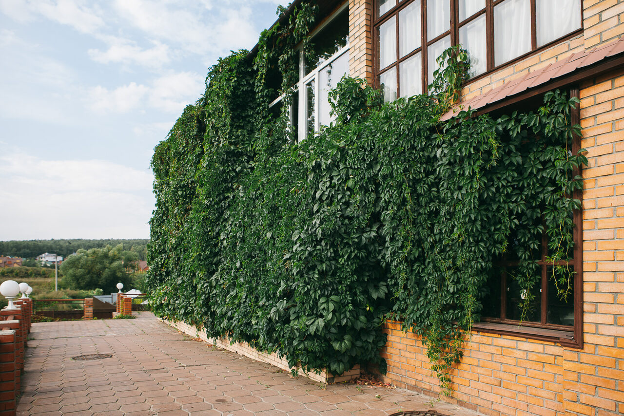 Арендовать Бельведер Коттедж за городом