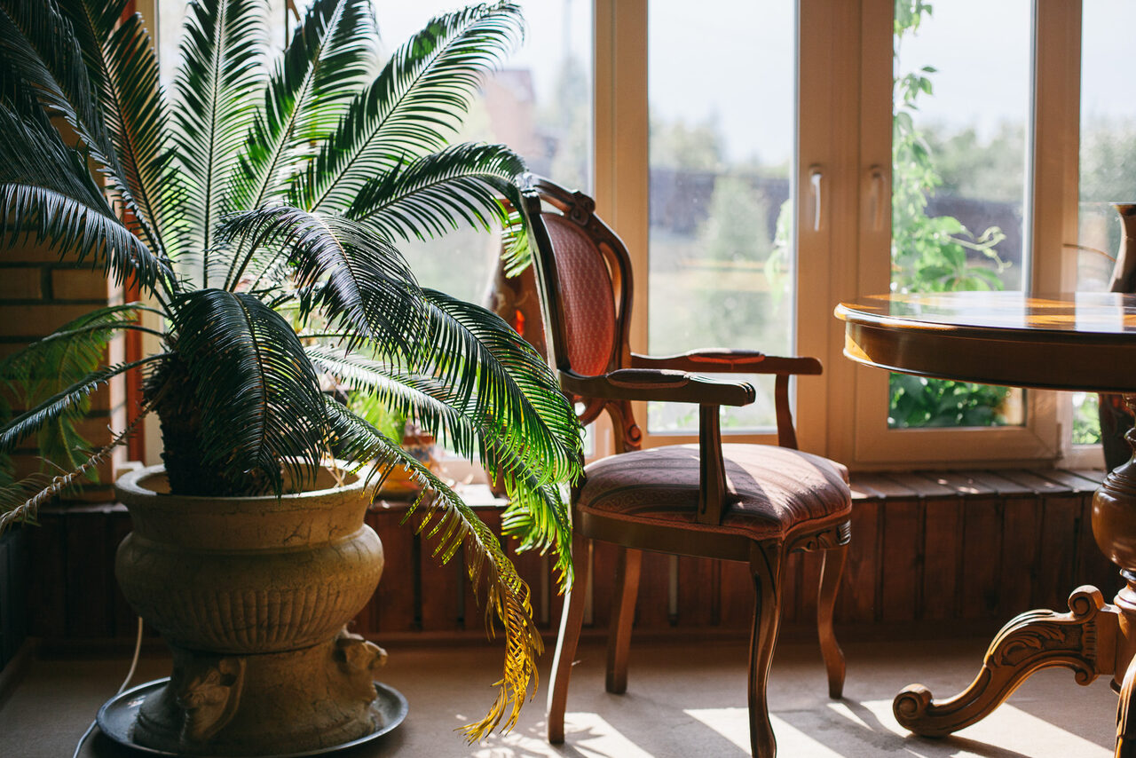 Арендовать Бельведер Коттедж за городом