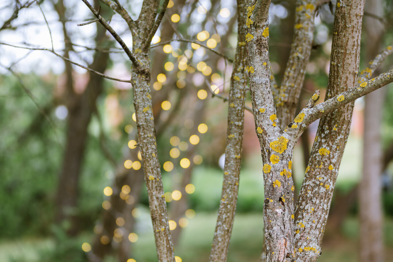 Арендовать Бельведер Коттедж за городом