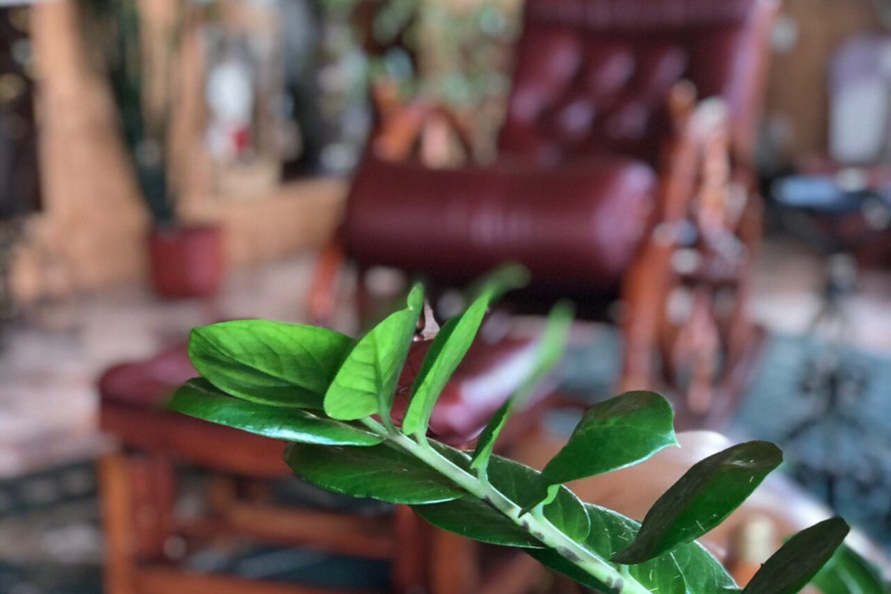 Арендовать Зал для деловых мероприятий в особняке