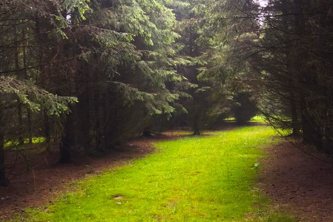 Арендовать Зал для деловых мероприятий в особняке