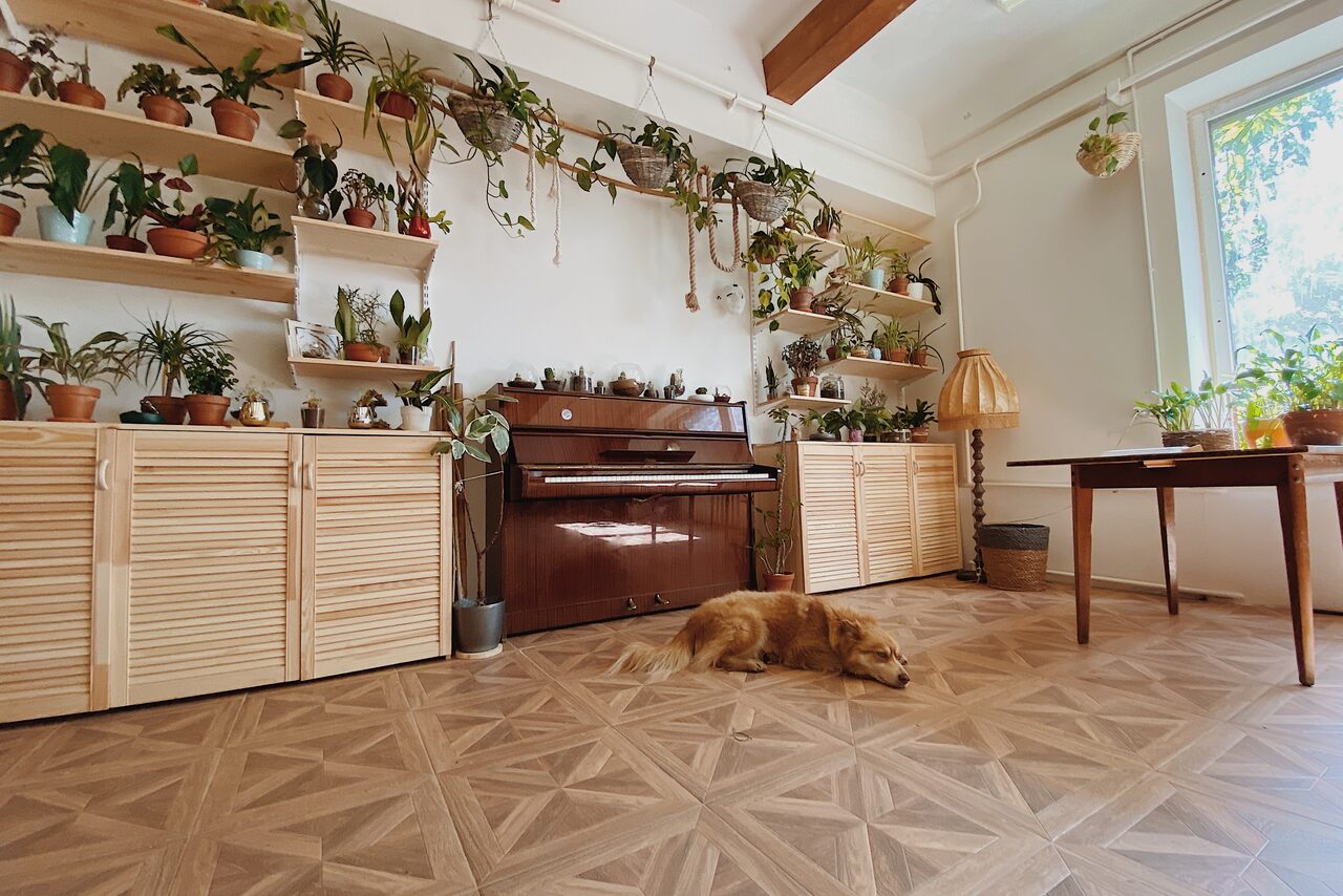 Арендовать Светлый лофт в кантри стиле