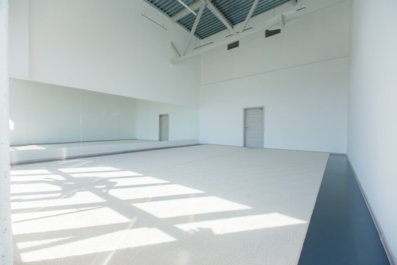 Арендовать Сеть студий гимнастики и танца Анны Серовой