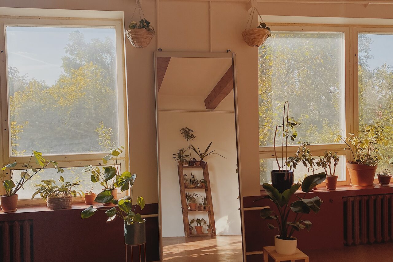 Арендовать Светлый лофт с растениями