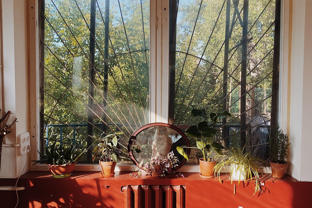 Арендовать Светлый лофт с растениями