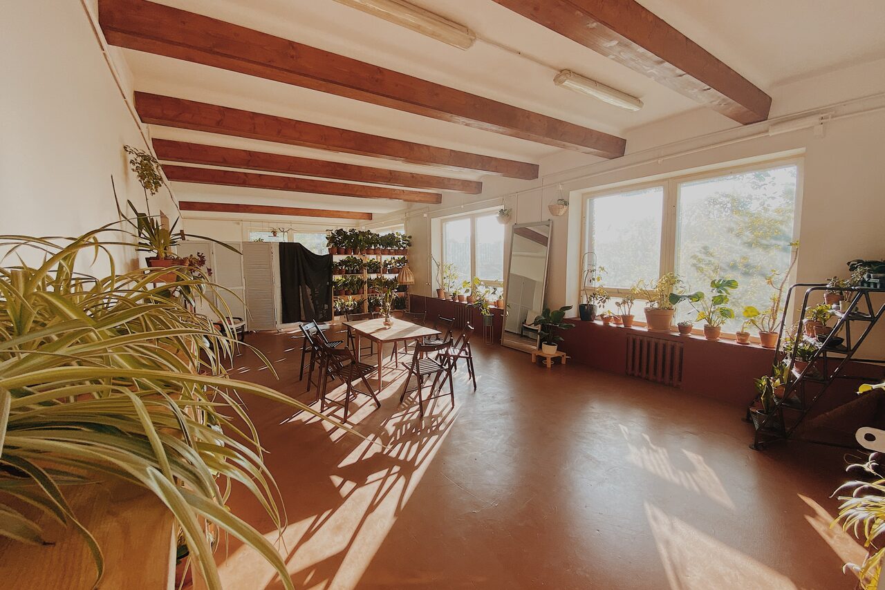 Арендовать Светлый лофт с растениями