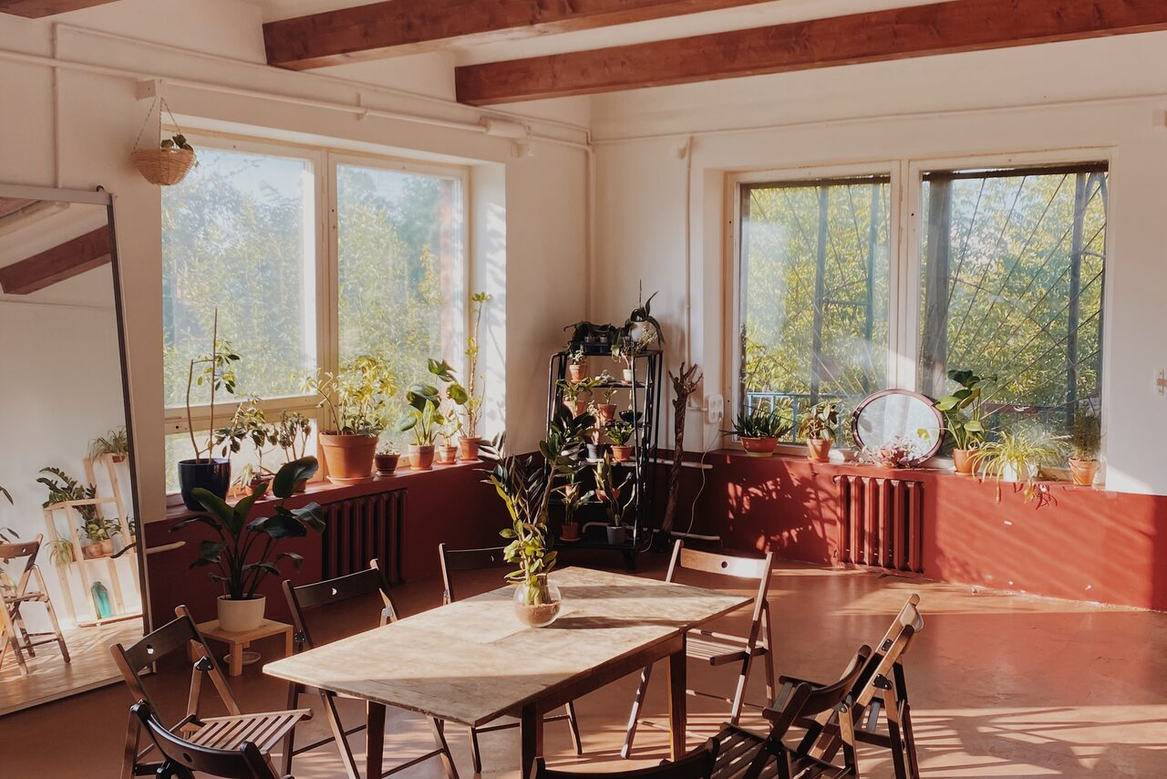 Арендовать Светлый лофт с растениями