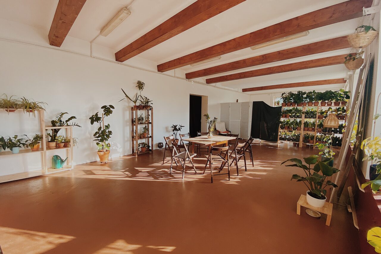 Арендовать Светлый лофт с растениями