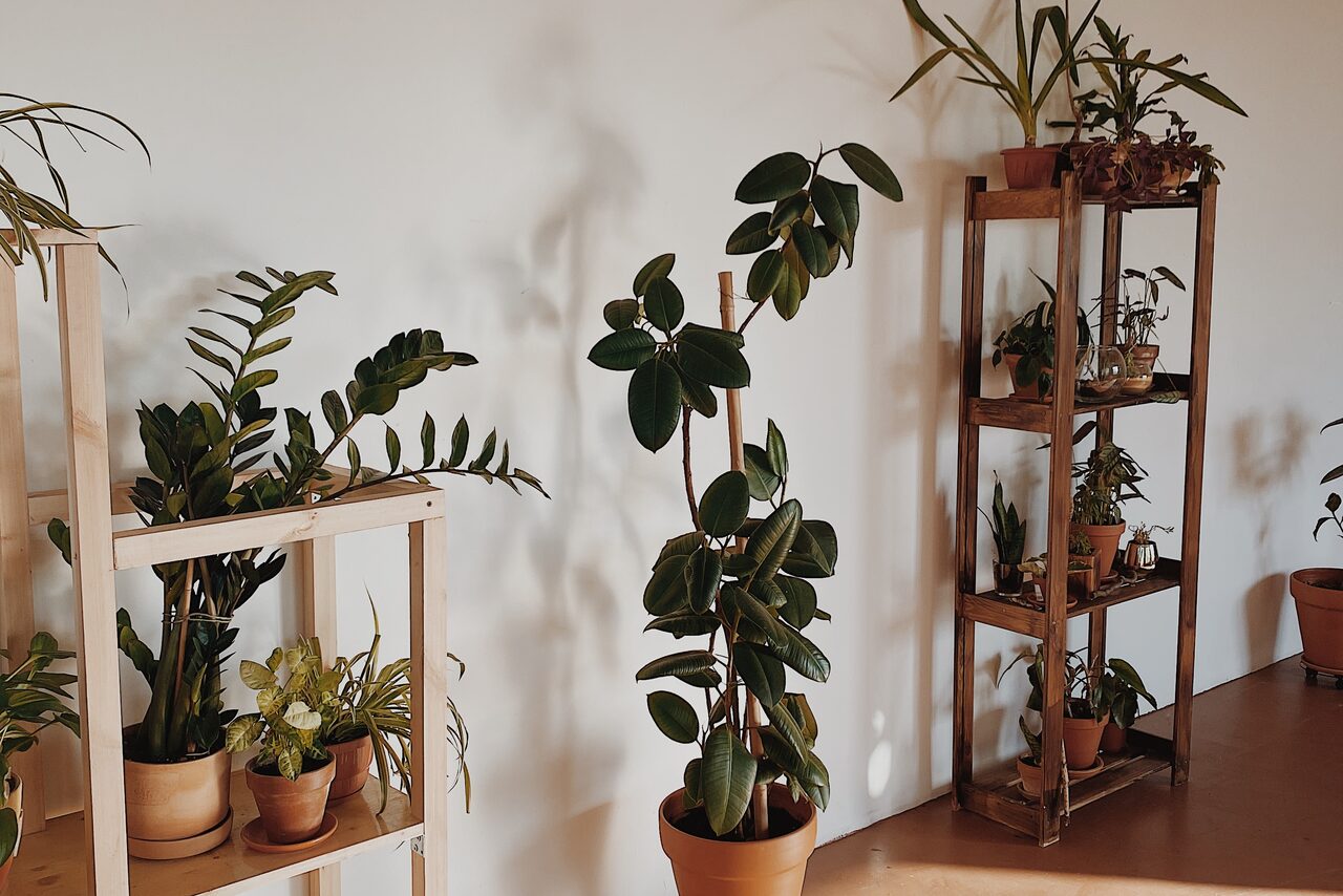 Арендовать Светлый лофт с растениями