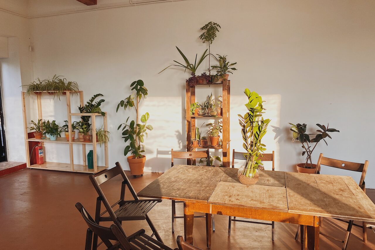 Арендовать Светлый лофт с растениями