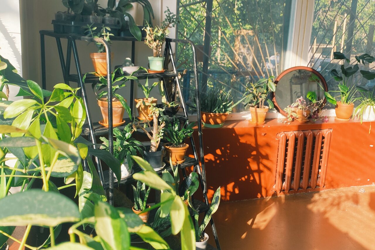 Арендовать Светлый лофт с растениями