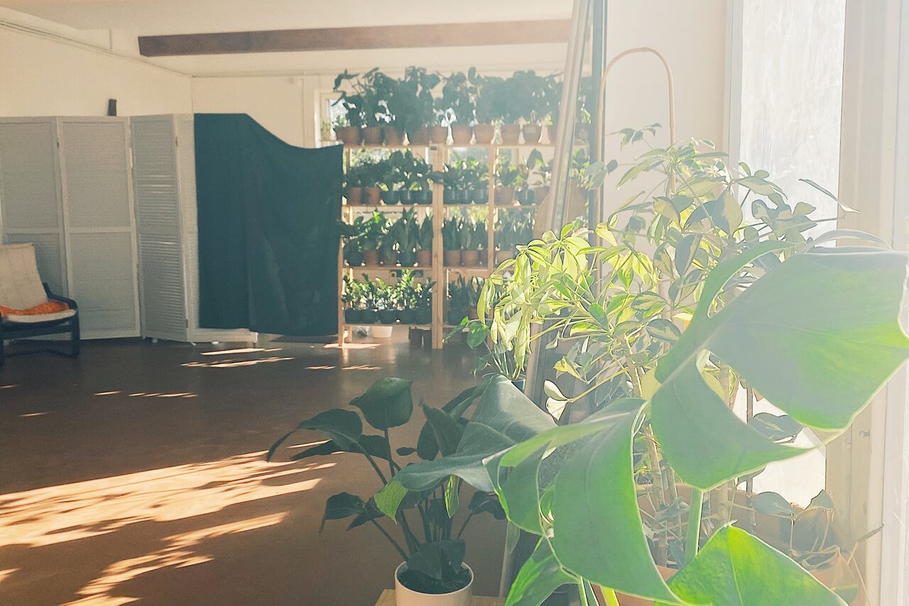 Арендовать Светлый лофт с растениями