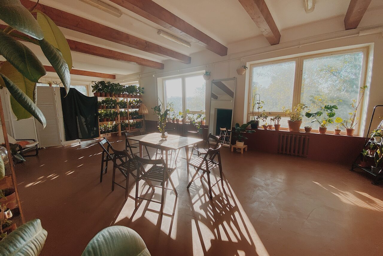 Арендовать Светлый лофт с растениями