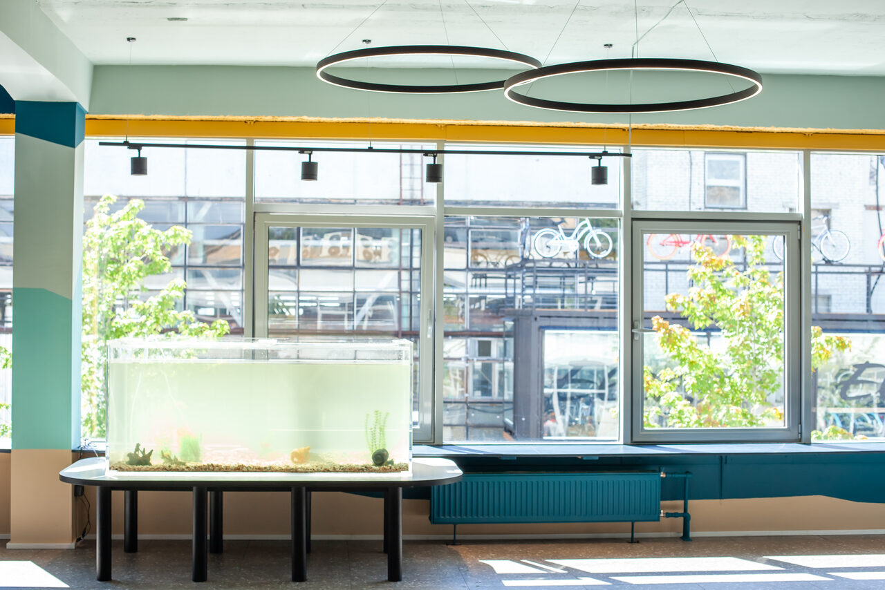 Арендовать Проект «Океаника» Пространство для детского праздника