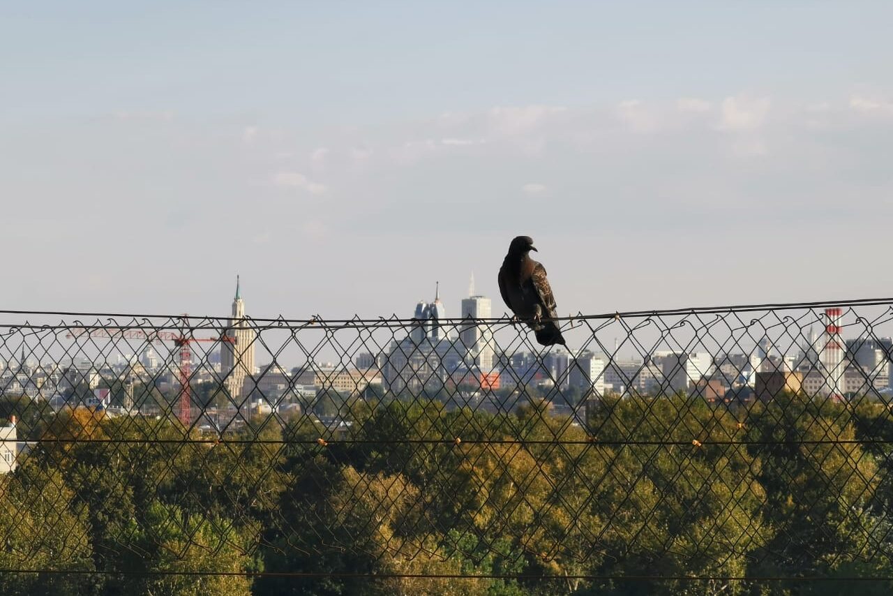 Арендовать Лофт в стиле унца-унца с выходом на крышу