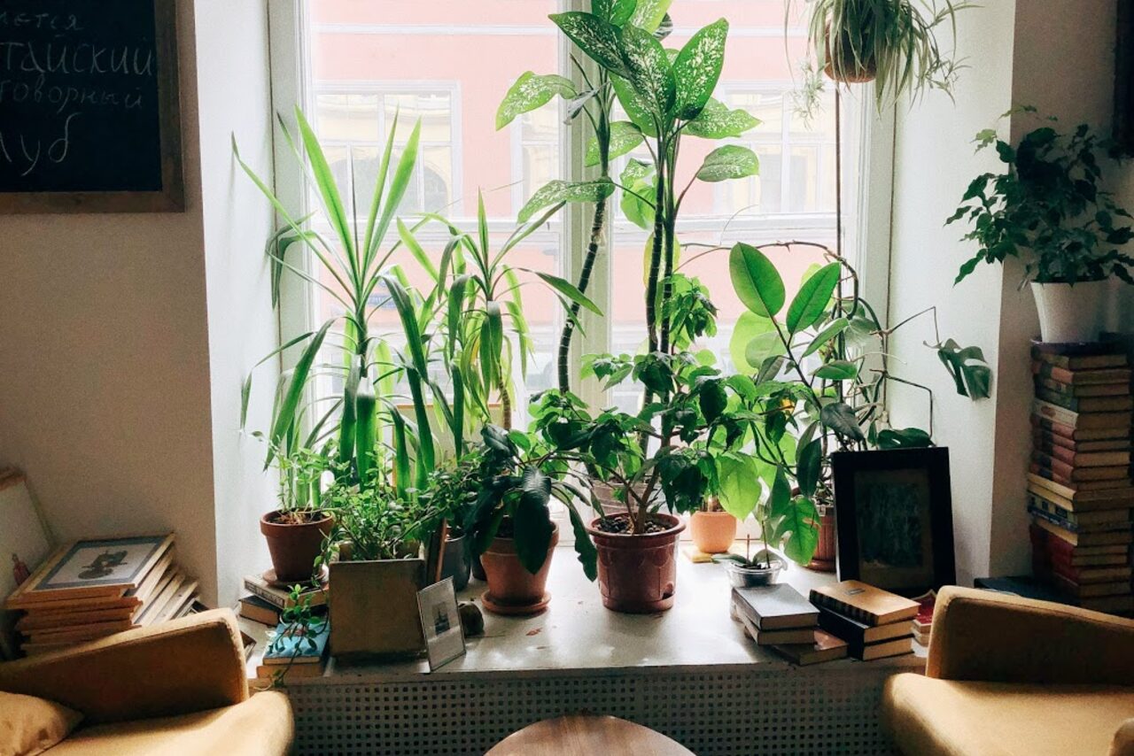 Арендовать Малая гостиная Циферблат 