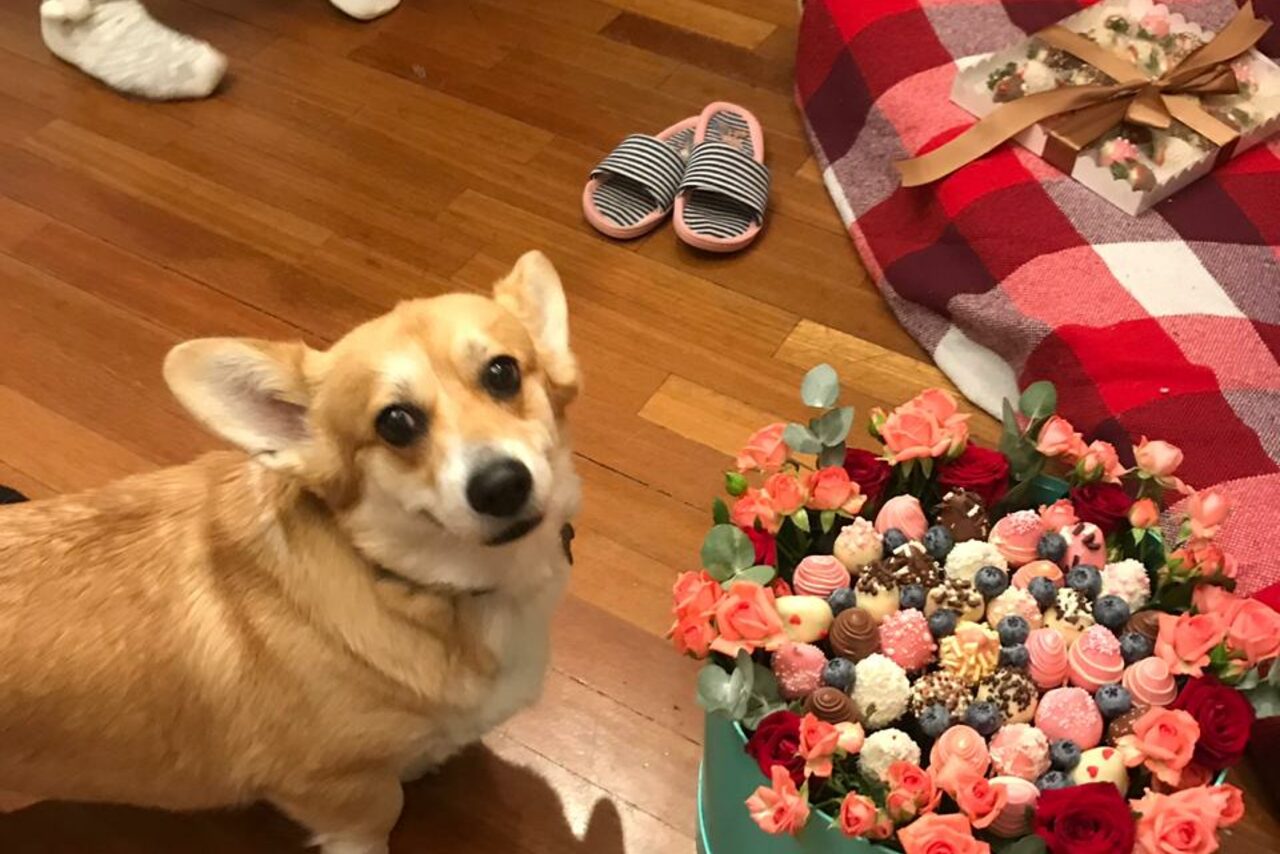 Арендовать Площадка с настоящим живым камином в центре столиц