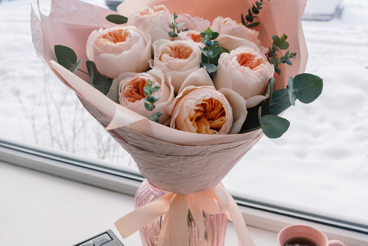 Арендовать Camnevia студия